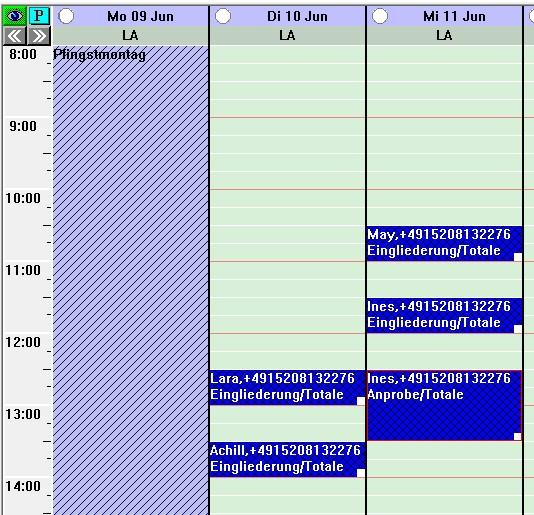 Passende Terminlücke im DENS.onTime Kalender